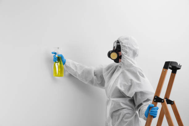 Best Mold Removal for HVAC Installations  in USA